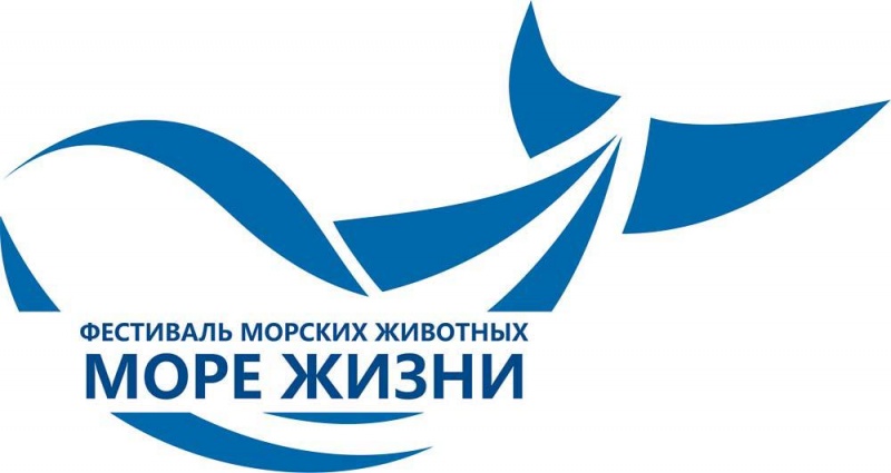 Фестиваль «Море жизни» в Петропавловске-Камчатском переносится на воскресенье