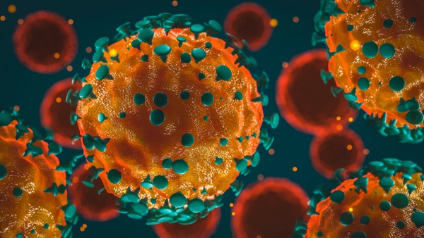 В Камчатском крае выявлены ещё 24 лабораторно подтверждённых случая заболевания коронавирусом