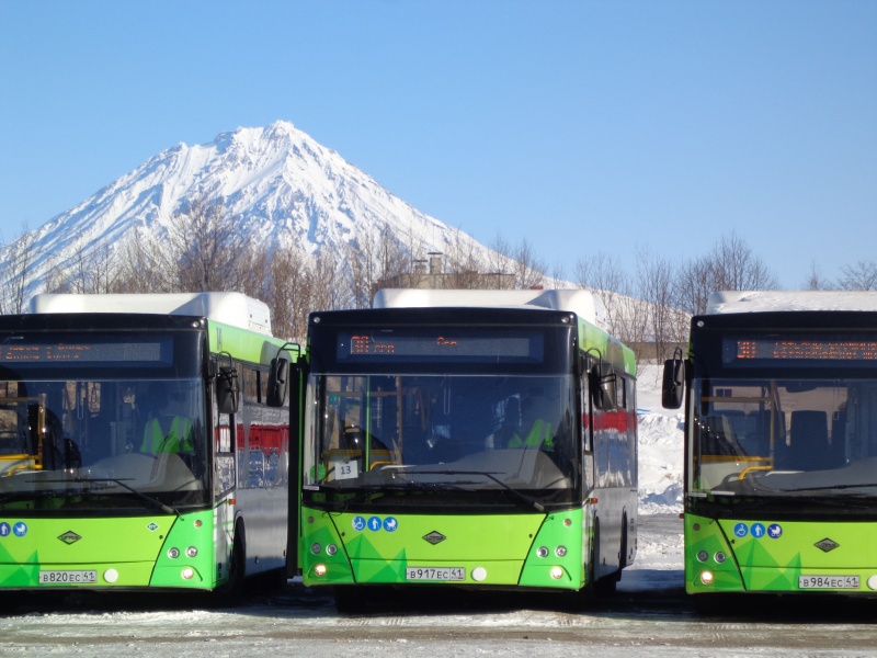Газомоторные автобусы выходят на маршруты в Петропавловске-Камчатском