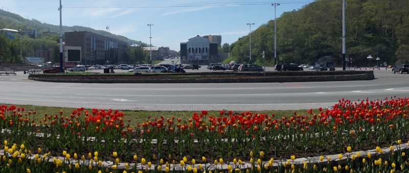 В Петропавловске-Камчатском началась высадка декоративных цветов