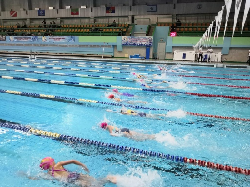 В краевой столице поведены итоги соревнований по плаванию