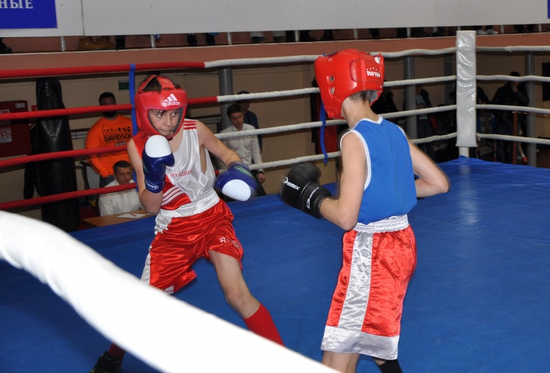Чемпионат и первенство по боксу состоялись в Петропавловске-Камчатском