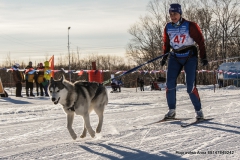 В Петропавловске-Камчатском пройдут соревнования по снежным дисциплинам ездового спорта