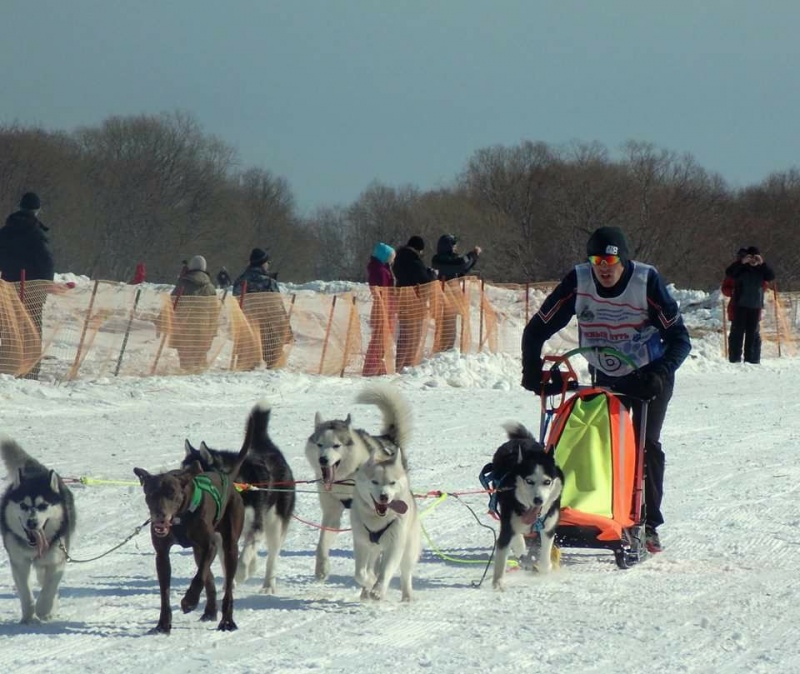 14 каюров выйдут на старт спринтерской гонки «Снежный путь»