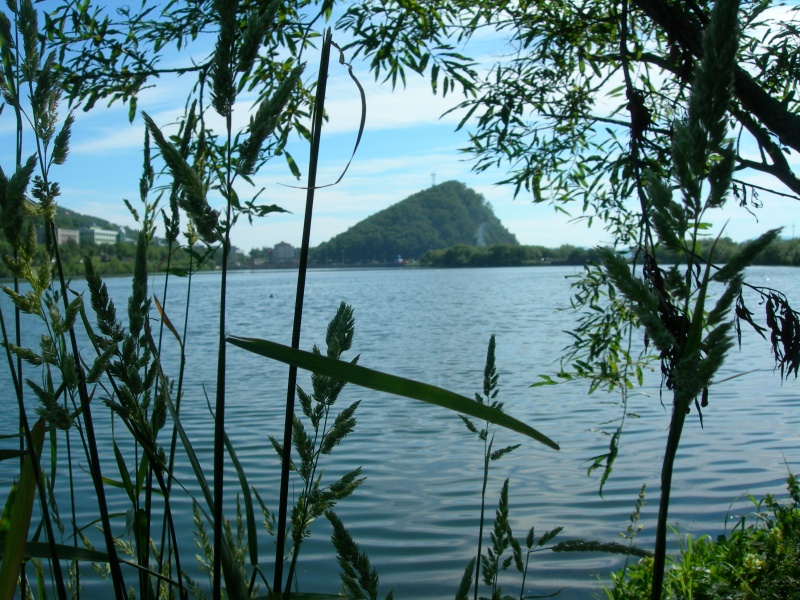 Владимир Илюхин обсудил с экологами и представителями научного сообщества проблему сохранения Култучного озера