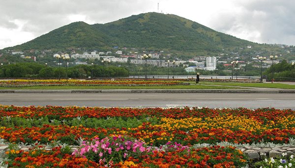 Петропавловск-Камчатский украсят зеленые насаждения и цветы