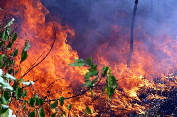 Жителям города напоминают о необходимости соблюдения правил пожарной безопасности в лесу