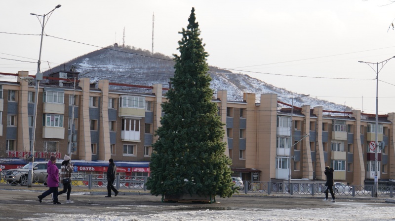 Новогодние елки устанавливают в микрорайонах краевой столицы