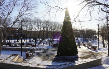 В Петропавловске‑Камчатском стартовала установка новогодних ёлок