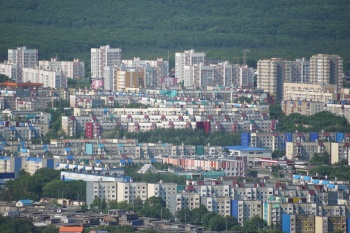 Информация о выходах медведей в Петропавловске-Камчатском