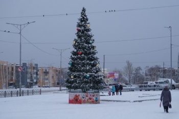В краевом центре откроются 12 новогодних елок