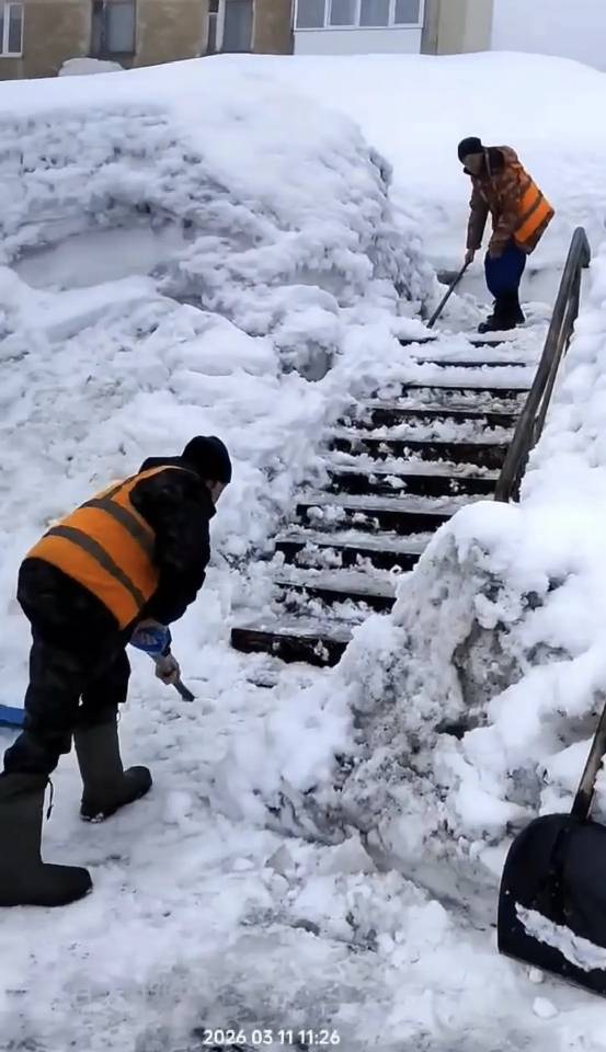 11 марта 2026 года