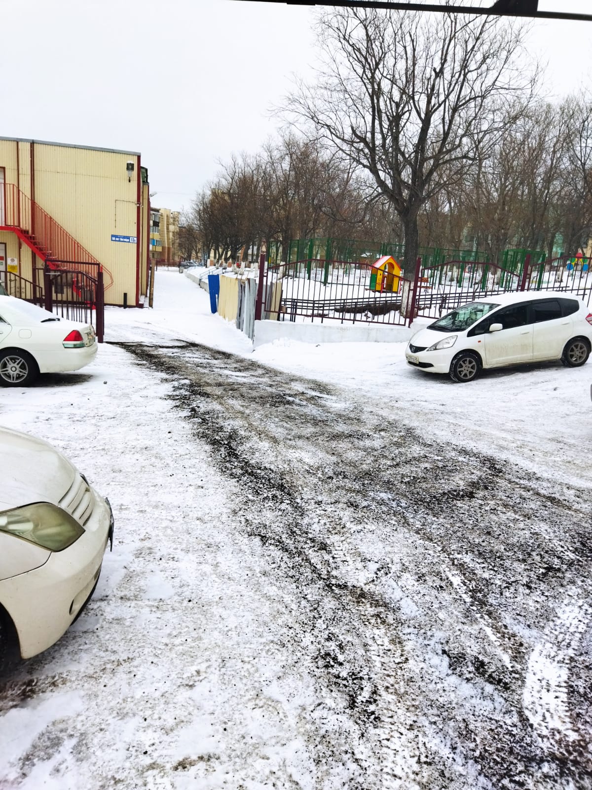 Петропавловск-Камчатский находится в зоне действия циклона