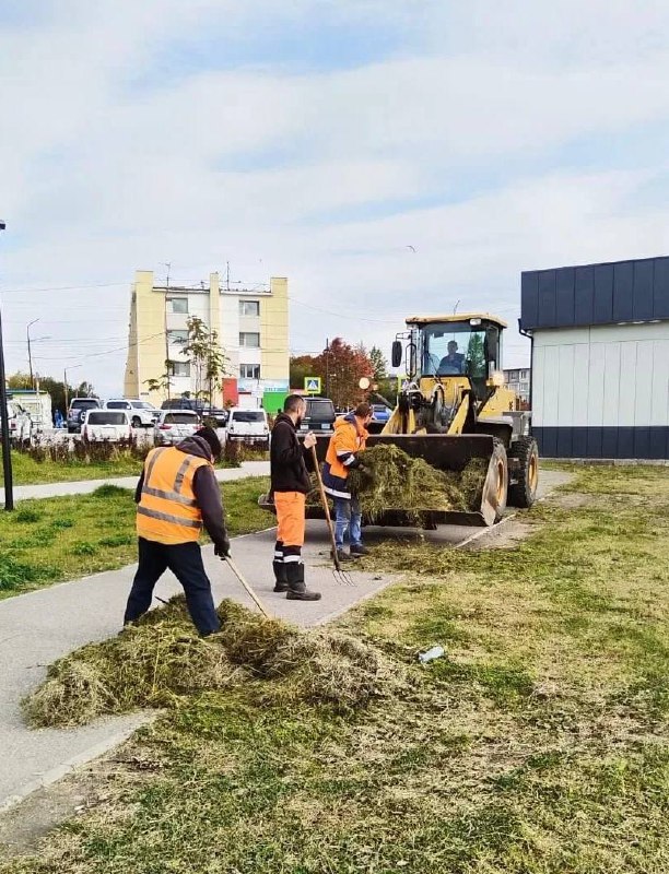 26 сентября 2025 года