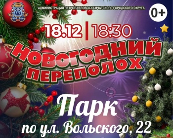 Открытие ёлки в парке по улице Вольского переносится