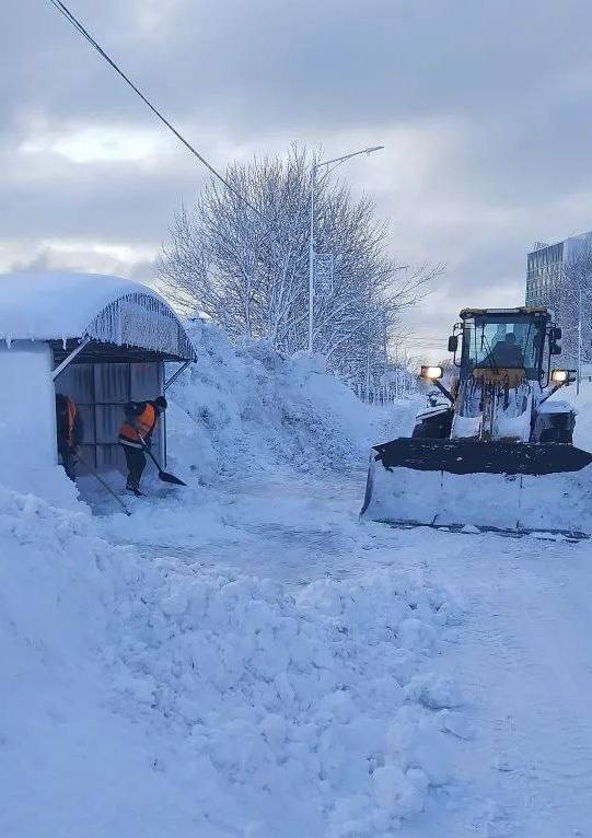 16 января 2026 года