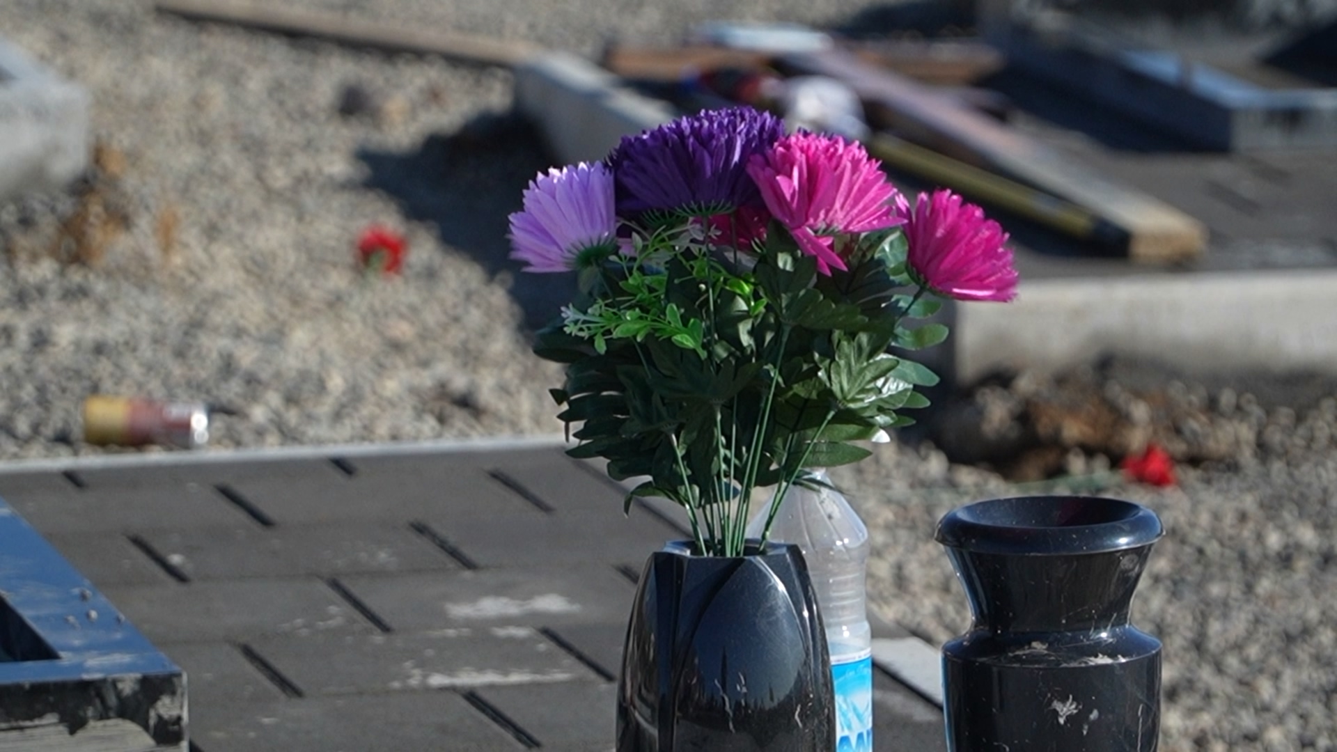 В Петропавловске-Камчатском идет обустройство Аллеи Славы в память о воинах, павших в ходе СВО В Петропавловске-Камчатском идет обустройство Аллеи Славы в память о воинах, павших в ходе СВО