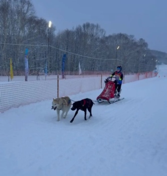 Соревнования по ездовому спорту в рамках фестиваля «Снежный путь»