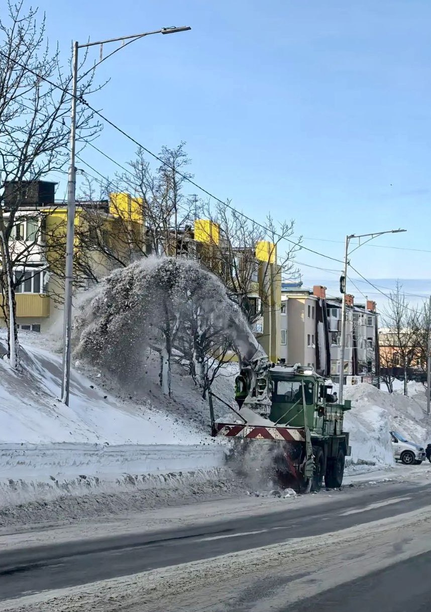 11 января 2026 года