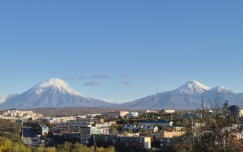 Информация о выходах медведей в Петропавловске-Камчатском