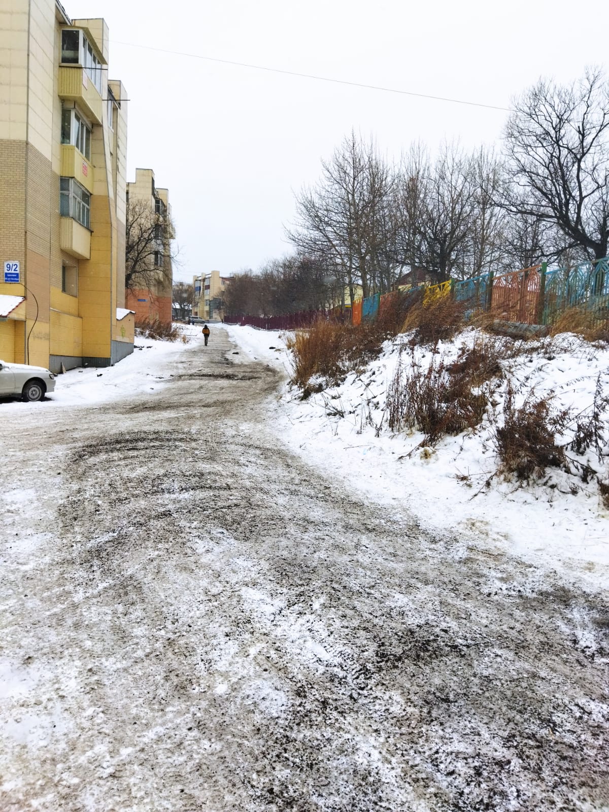 Петропавловск-Камчатский находится в зоне действия циклона