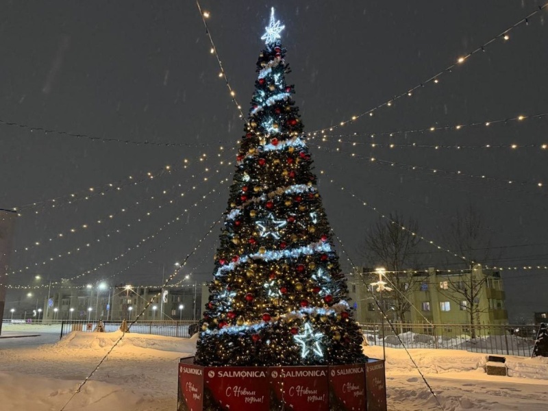 Новогодние ёлки зажгли огни в разных микрорайонах города