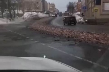 Водителя погрузчика и предприятие, допустивших загрязнение дороги в центре Петропавловска рыбными отходами, привлекут к ответственности