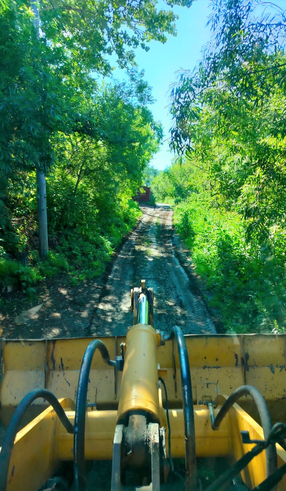 8 августа 2023 года 8 августа 2023 года