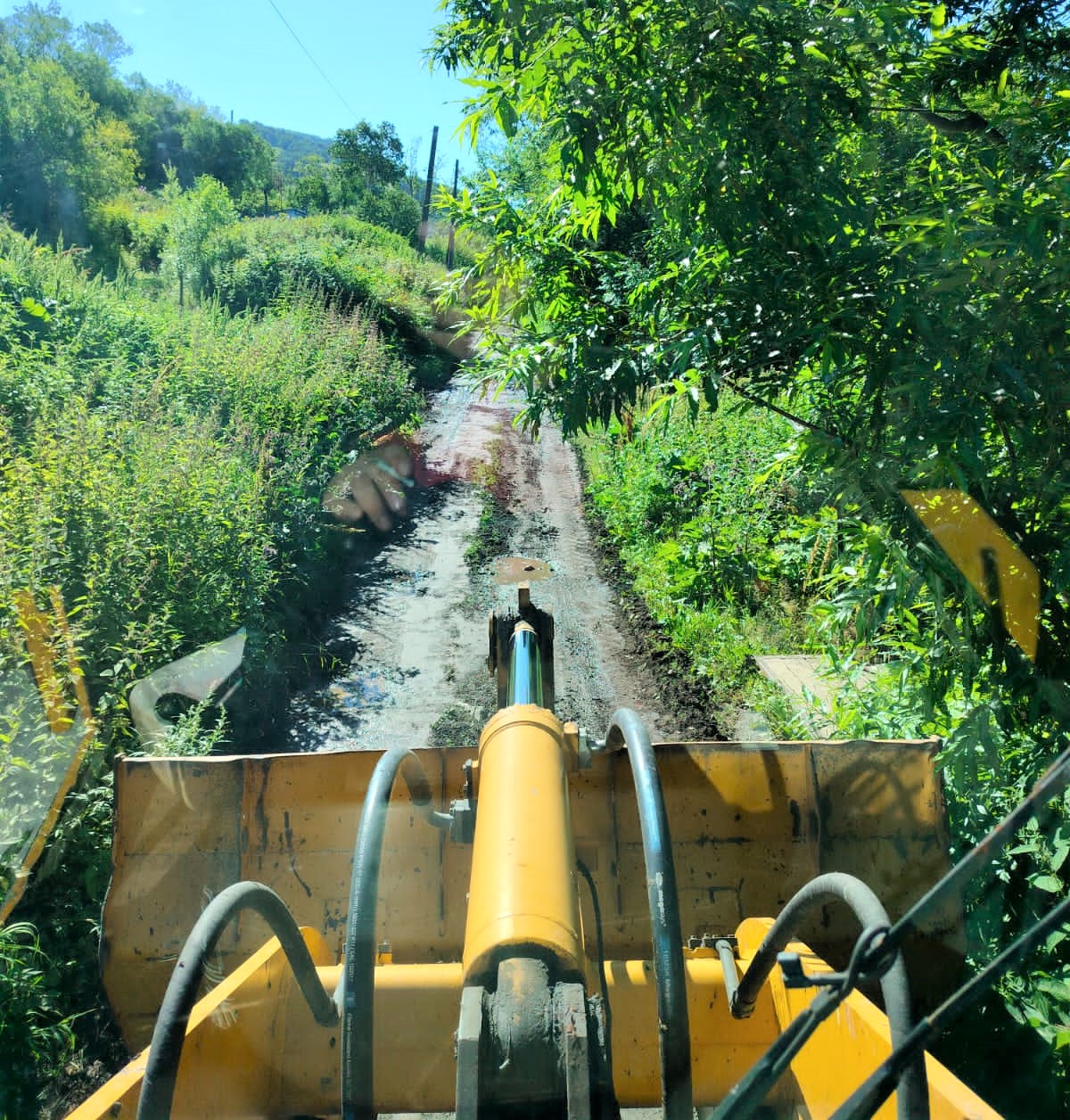 8 августа 2023 года 8 августа 2023 года