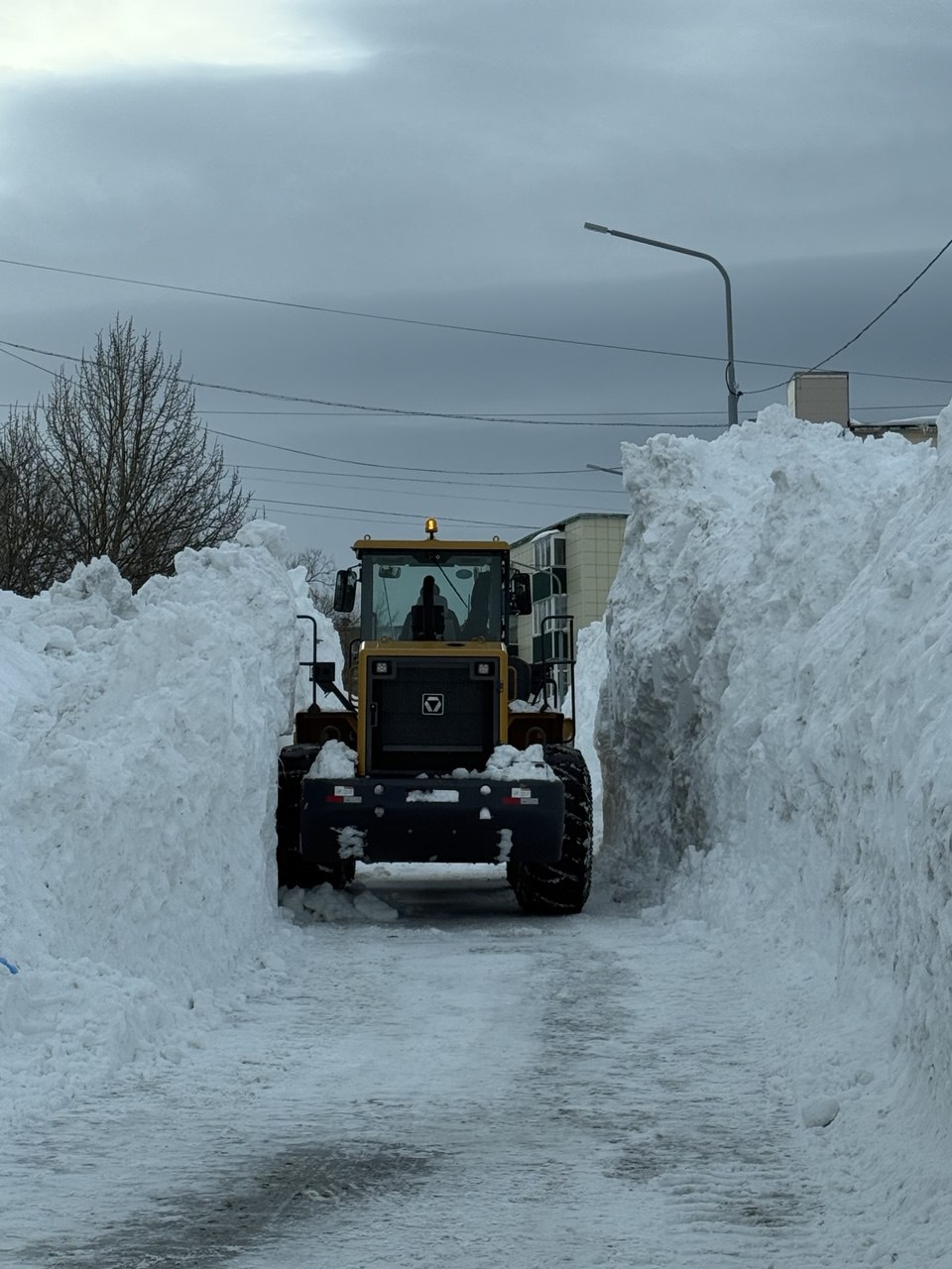 28 января 2026 года