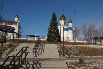 В краевой столице открыты для посещения 12 новогодних елок