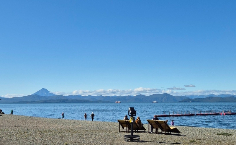 Горожанам рекомендовано временно воздержаться от употребления морепродуктов из Авачинской бухты