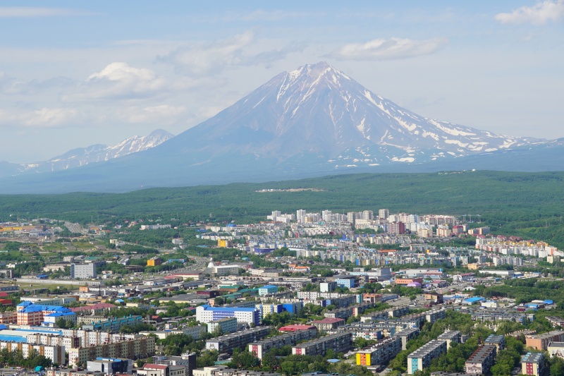 Информация о выходах медведей в Петропавловске-Камчатском