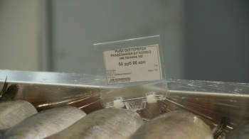 Цены на ассортимент «Камчатской рыбы» останутся на уровне прошлого года