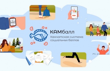 Порядка 11,5 тысяч пользователей платформы «КАМбалл» зарегистрировано на Камчатке