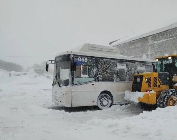Пассажирские автобусы вышли на линии
