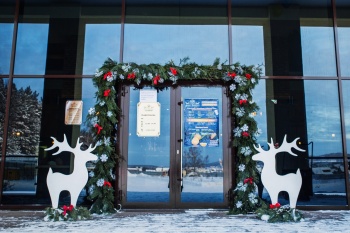 Торговые павильоны, фасады и входные группы коммерческих зданий Петропавловска-Камчатского будут украшены к Новому году