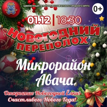 Горожан ждут на открытие первой ёлки