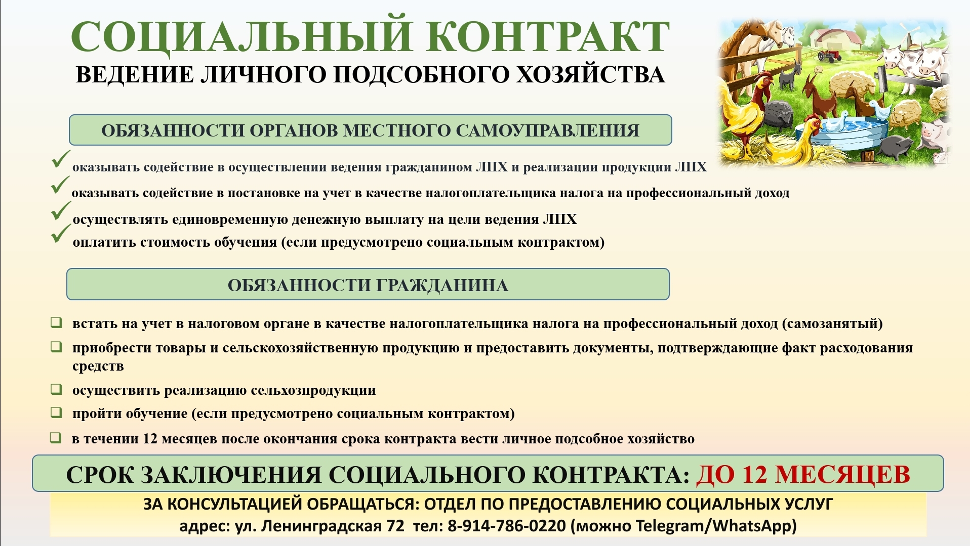 Садоводам и огородникам предлагают заключить соцконтракт на развитие ЛПХ