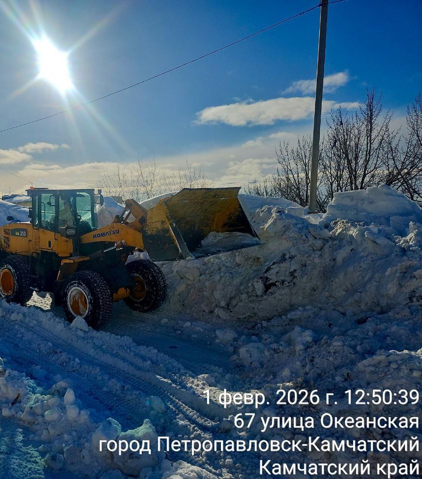 1 февраля 2026 года