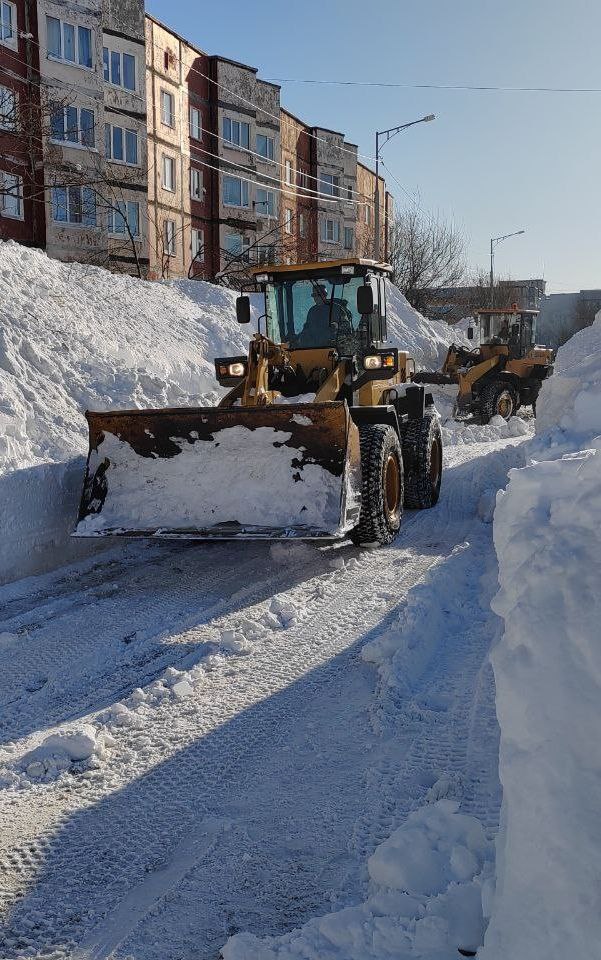 23 января 2026 года