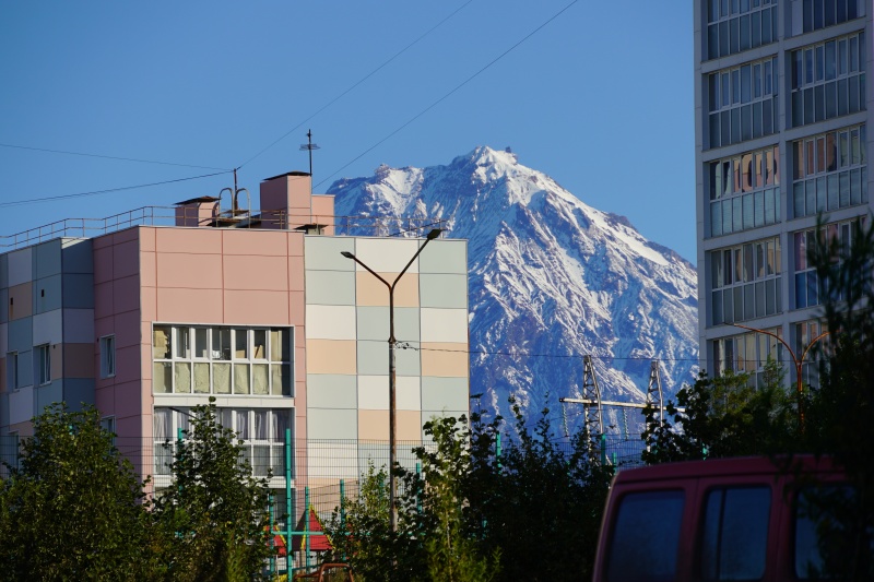 Информация о выходах медведей в Петропавловске-Камчатском