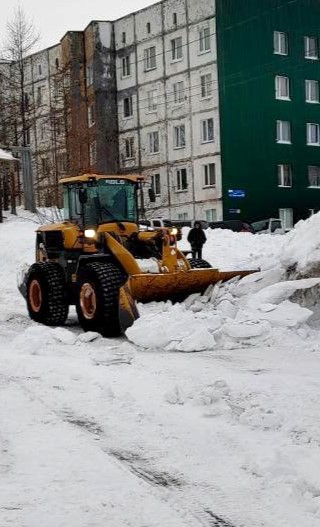 24 января 2026 года