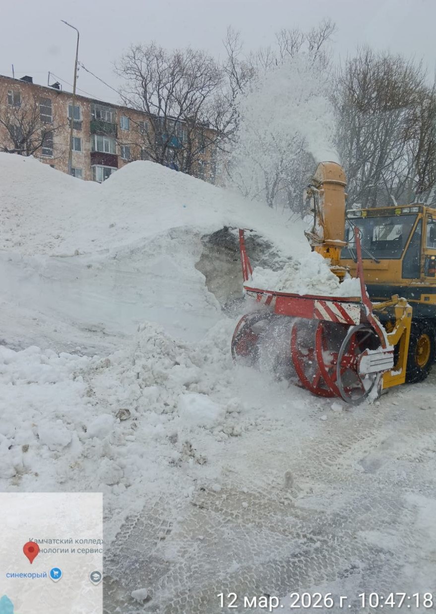 12 марта 2026 года